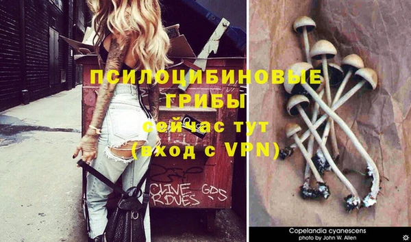 ALPHA PVP Сафоново