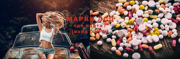 хмурый Алексеевка