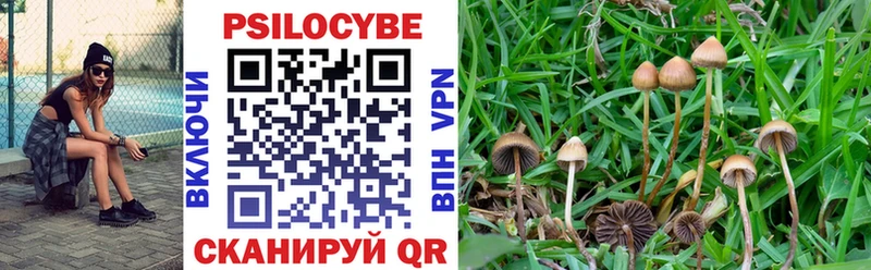 Псилоцибиновые грибы прущие грибы  купить  цена  Кашин 